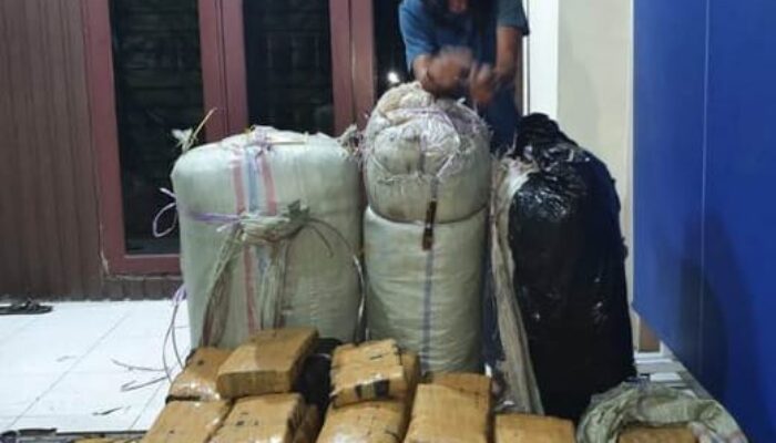 Poldasu Gagalkan Pengiriman 200 Kg Ganja Dari Aceh