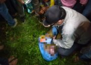 Nelayan Temukan Mayat Bayi Terapung Di Sungai Deli