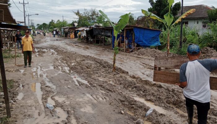 Jl. Rawe 1 Martubung Rusak Parah, Warga Tanam Pohon Pisang