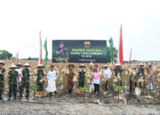 Kolaborasi Kodam I/BB Dan Santri Tani Panen Jagung Untuk Ketahanan Pangan