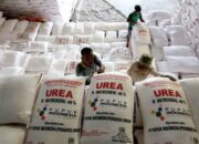 PIHC Siap Dukung Ketahanan Pangan Melalui Ketersediaan Pupuk Nasional