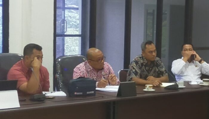 Wijaya Hasrimi: Saya Takut Banyak Yang Tersakiti