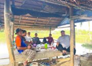 Tim PT Japfa Tinjau Perkembangan Ikan Nila Di Nagan 