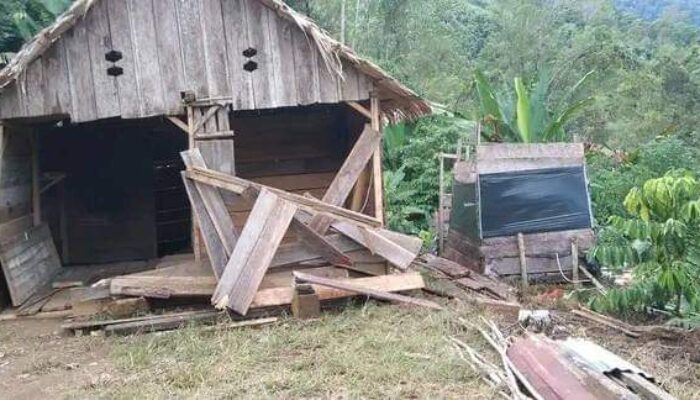Gajah Liar Obrak-abrik Pemukiman Warga Aceh Tengah