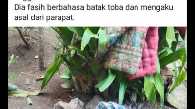 Remaja Pelaku Penganiayaan Dalam Vidio Viral di Tapsel Ditangkap Polisi, Ortu Minta Maaf