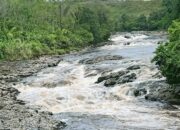 Pemuda Tanggung Hanyut Di Sungai Simonggo