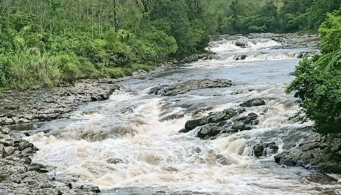 Pemuda Tanggung Hanyut Di Sungai Simonggo
