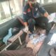 Layahman Turnip Ditemukan Tewas di Dalam Angkot KPUM 04 Miliknya