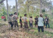Masyarakat Bergang Akan Orasi Damai Terkait Gajah Obrak-abrik Tanaman Warga