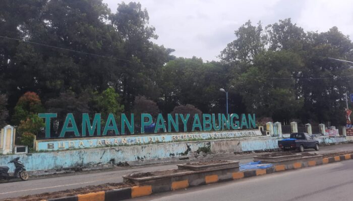 Taman Panyabungan, Soal Lahan Pemprovsu Sampai Tender Proyek