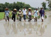 Pupuk Indonesia Siap Penuhi Kebutuhan Domestik 2023