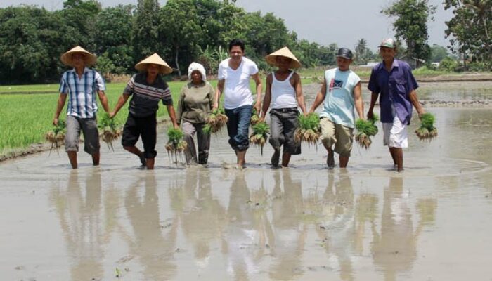 Pupuk Indonesia Siap Penuhi Kebutuhan Domestik 2023