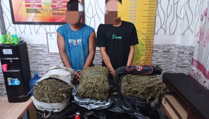 Hendak Transaksi Ganja, Dua Petani Aceh Tamiang Dibekuk