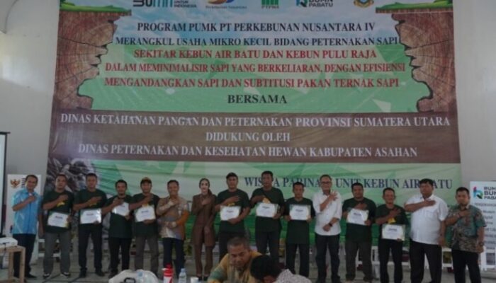 PUMK PTPN IV Kembali Adakan Sosialisasi Dan Pelatihan Kepada UMKM Tentang Pencegahan PMK Pada Hewan Ternak