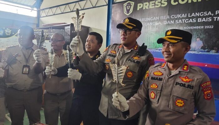 Bea Cukai Gagalkan Penyeludupan Hewan Dan Barang Ilegal