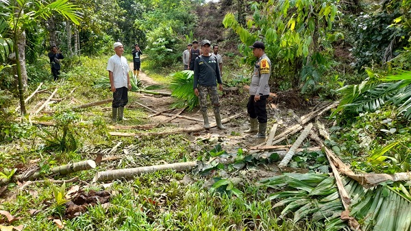 Cegah Amukan Susulan, Polisi – Warga Gunakan Mercon Usir Gajah Cegah Amukan Susulan, Polisi – Warga Gunakan Mercon Usir Gajah
