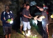 Heboh, Aksi Heroik Aipda T. Saiful Bahri Tangkap Ular Piton