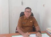 62 Pilkades Serentak Di Madina