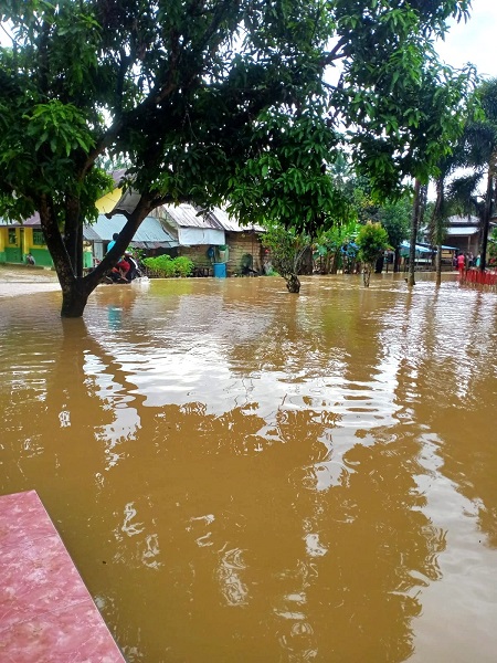 INTENSITAS curah hujan tinggi, sejumlah dusun di Desa Halaban, Kec. Besitang, terendam banjir. Waspada.id/Ist