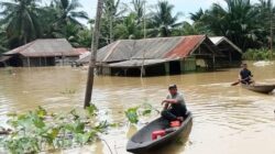 BANJIR ACEH TIMUR: Warga menyelamatkan diri dengan menggunakan sampan setelah rumahnya dikepung banjir dadakan di Gampong Cek Mbon, Peureulak, Aceh Timur, Senin (7/11). Waspada/Ist.