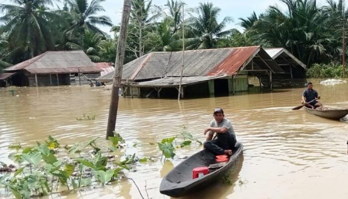 Banjir Aceh Timur Meluas, 10 Kecamatan Terendam, 2.693 Jiwa Mengungsi