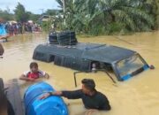 Peunaron – Lokop Terkurung