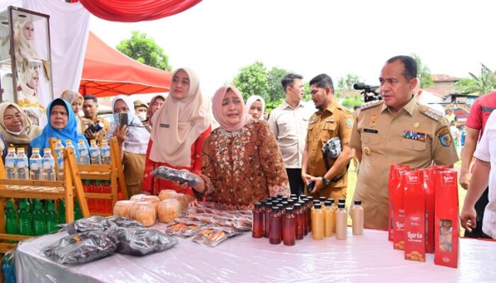 Batubara Dapatkan 4 Nominasi Lomba Desa Percontohan Sumut 2022