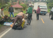 Bawa 14 Kg Ganja, Polisi Tangkap 6 Anak Punk