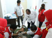 Wabup Simalungun Tinjau Pengobatan Gratis Di Puskesmas Serbalawan