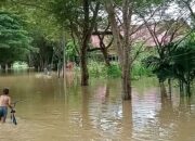 Badan Jalan di Komplek Perkantoran Pemkab Aceh Tamiang terendam banjir sehingga aktivitas di kawasan tersebut lumpuh, Selasa (1/11). Waspada.id/Muhammad Hanafiah