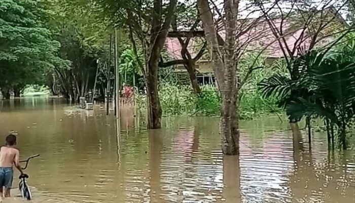 Dampak Banjir, Aktivitas Kantor Pemerintahan Lumpuh Di Aceh Tamiang