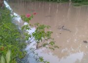 Bendungan Tak TerawatKawasan Di Batubara Sempat Terimbas Banjir Kiriman
