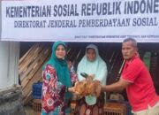 Kemensos Salurkan Ratusan Hewan Ternak