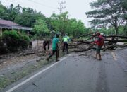 Satlantas Polres Nagan Raya Gerak Cepat Tangani Pohon Tumbang 
