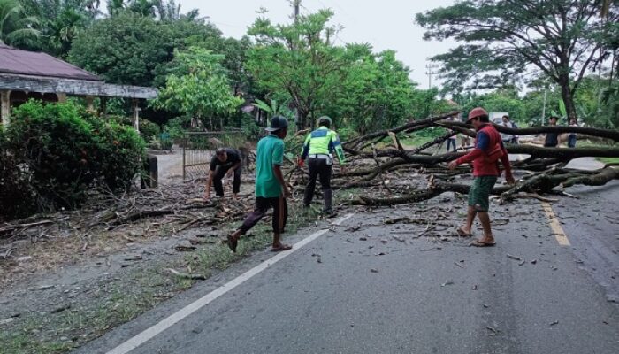 Satlantas Polres Nagan Raya Gerak Cepat Tangani Pohon Tumbang 