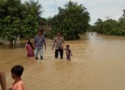 KAPOLSEK Besitang AKP Trisno Carlos Sihite bersama Kanit Intel Aiptu Leo S Surbakti mengevakuasi bocah dari arus banjir di Dusun Pantai Pulau. Waspada.id/Asrirrais