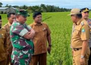 Bupati Abdya Optimalkan Persiapan Panen Raya dan Maulid Akbar