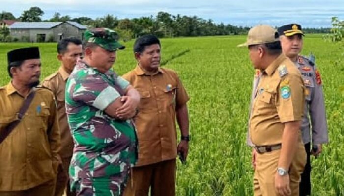 Bupati Abdya Optimalkan Persiapan Panen Raya dan Maulid Akbar