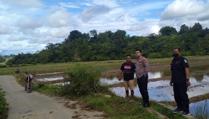 Kapolres Toba Pantau Langsung Pencarian Dua Tahanan Yang Melarikan Diri