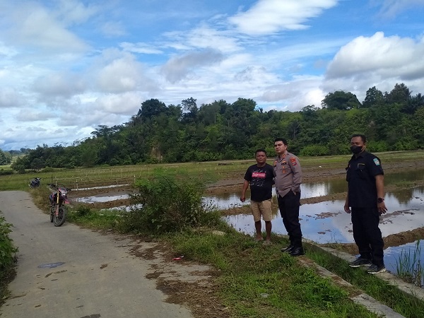 Kapolres Toba, AKBP Taufiq Hidayat Thayep, turun ke lapangan melihat langsung proses pencarian kedua tahanan yang kabur dari RTP Polres Toba, Rabu (16/11). Waspada/Ist
