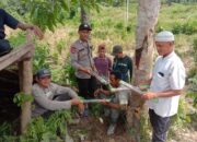 Cegah Amukan Susulan, Polisi – Warga Gunakan Mercon Usir Gajah