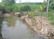 Box Irigasi Tersier Rusak, Puluhan Ha Areal Pertanian Warga Abdya Terancam