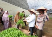 Wujudkan Ketahanan Pangan, Bakri Siddiq Ajak Warga Manfaatkan Pekarangan Rumah