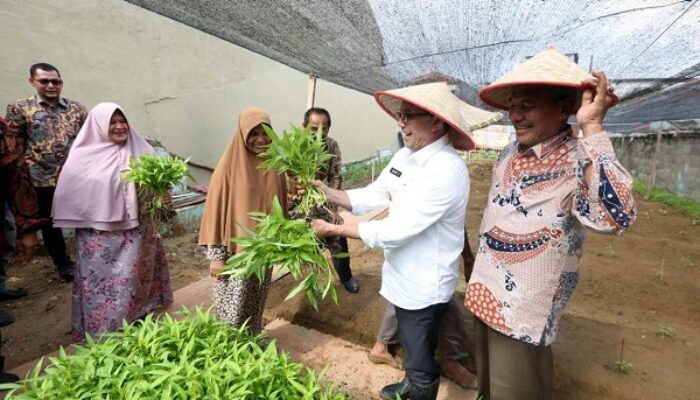 Wujudkan Ketahanan Pangan, Bakri Siddiq Ajak Warga Manfaatkan Pekarangan Rumah