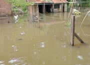 Rumah Terendam Warga Minta Bupati Langkat Ambil Sikap