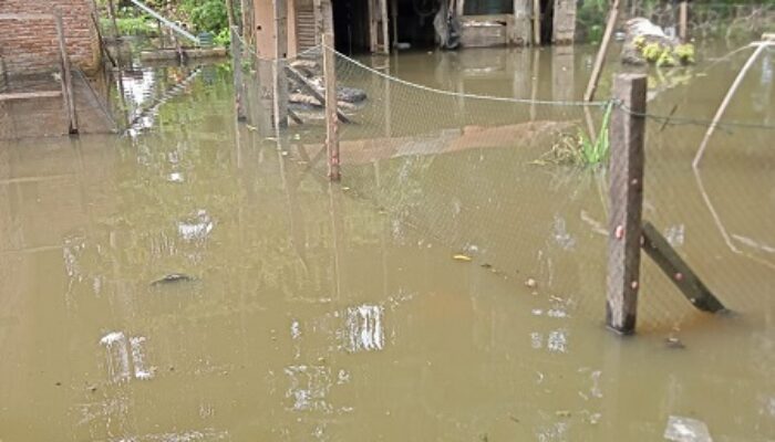 Rumah Terendam Warga Minta Bupati Langkat Ambil Sikap
