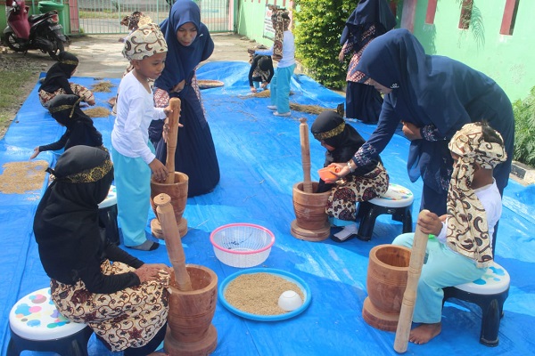 Ananda murid TK RUMAN Aceh sedang mempraktikkan tradisi mengolah padi yang baru dipanen yang dilakukan di halaman sekolah mereka, Jumat (04/11/22). (Waspada.id/T.Mansursyah)