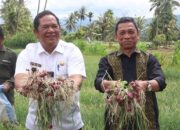 Rektor UISU Serahkan Naskah Akademik, Gagas Penelitian Budidaya Bawang Merah