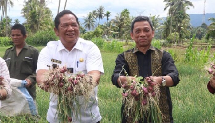 Rektor UISU Serahkan Naskah Akademik, Gagas Penelitian Budidaya Bawang Merah
