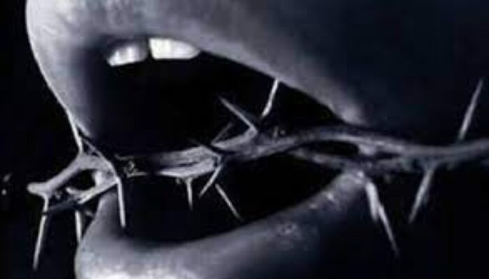 <strong>Menyoal PT SMGP Si Pencabut Nyawa</strong><strong></strong>